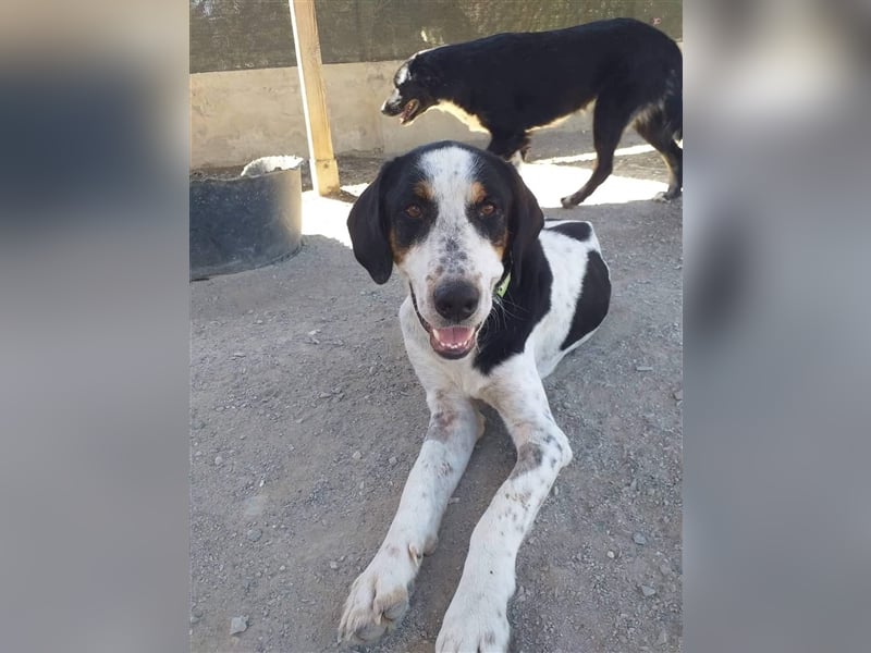 Luke, der Kämpfer ❤