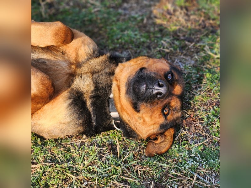 "Kleine" Adél auf der Suche nach ihrem großen Glück
