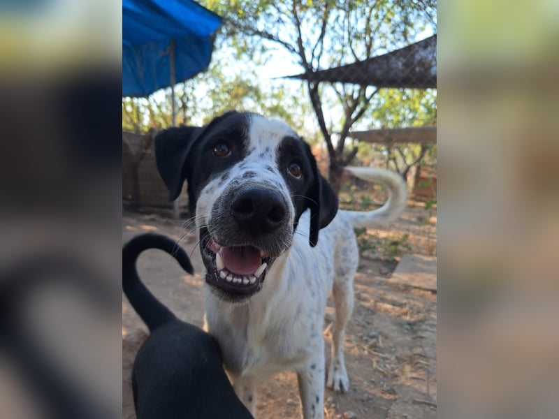 Wunderschöner, sensibler Apollo möchte endlich ankomen