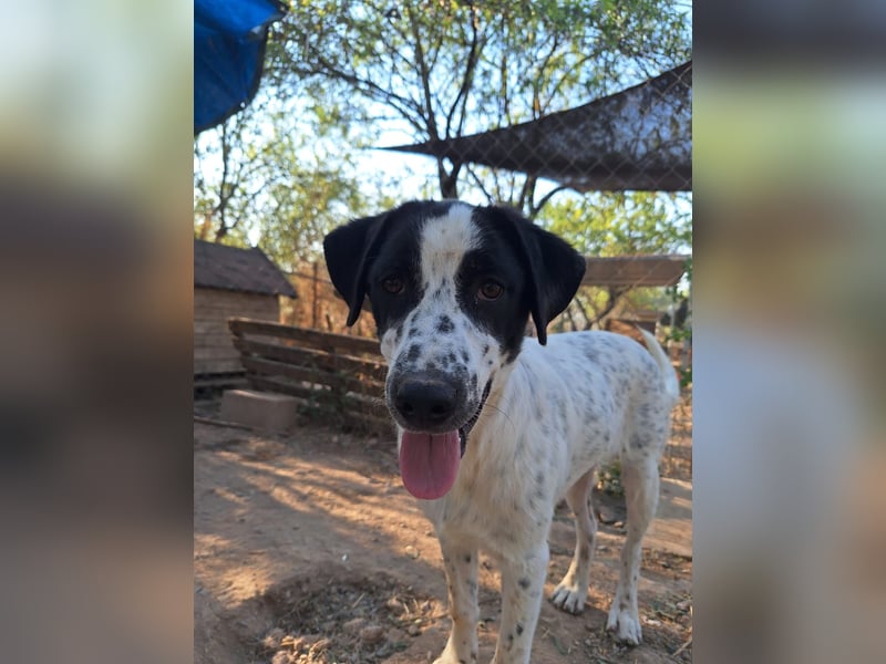 Wunderschöner, sensibler Apollo möchte endlich ankomen