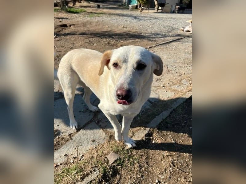 Nea - süße Einzelprinzessin sucht erfahrene Menschen