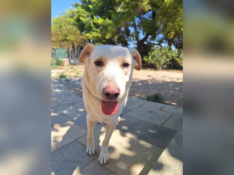 Nea - süße Einzelprinzessin sucht erfahrene Menschen