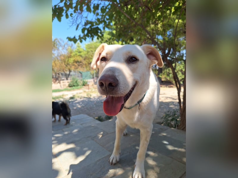 Nea - süße Einzelprinzessin sucht erfahrene Menschen