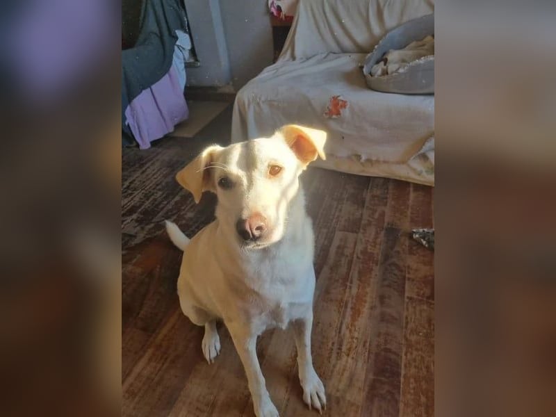 Nea - süße Einzelprinzessin sucht erfahrene Menschen