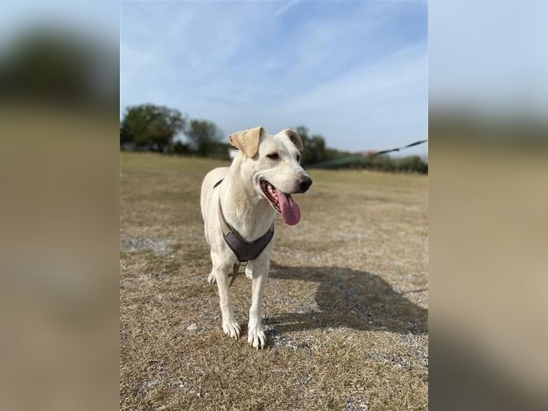 Nea - süße Einzelprinzessin sucht erfahrene Menschen