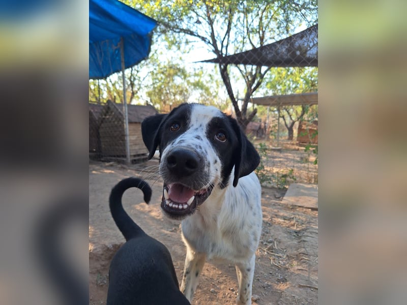 Wunderschöner, sensibler Apollo möchte endlich ankomen