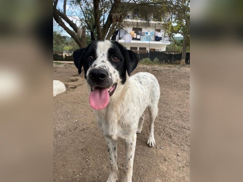 Wunderschöner, sensibler Apollo möchte endlich ankomen