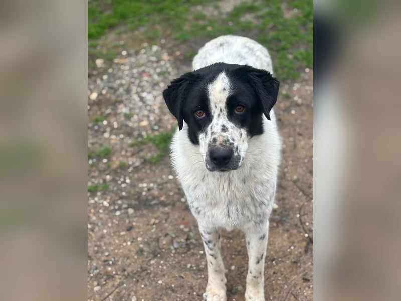 Wunderschöner, sensibler Apollo möchte endlich ankomen