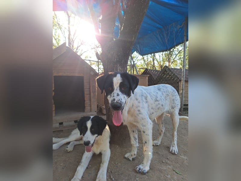 Wunderschöner, sensibler Apollo möchte endlich ankomen