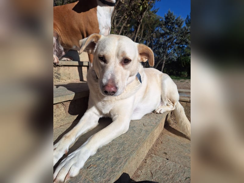 Nea - süße Einzelprinzessin sucht erfahrene Menschen