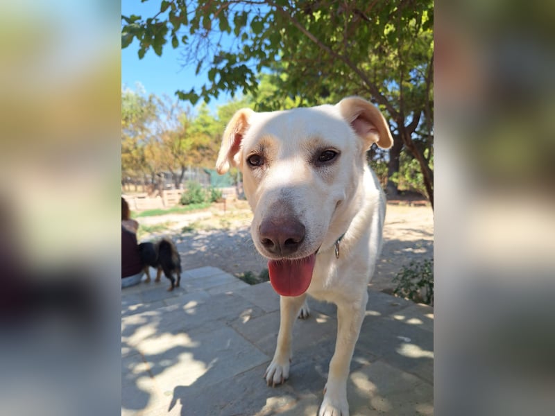 Nea - süße Einzelprinzessin sucht erfahrene Menschen