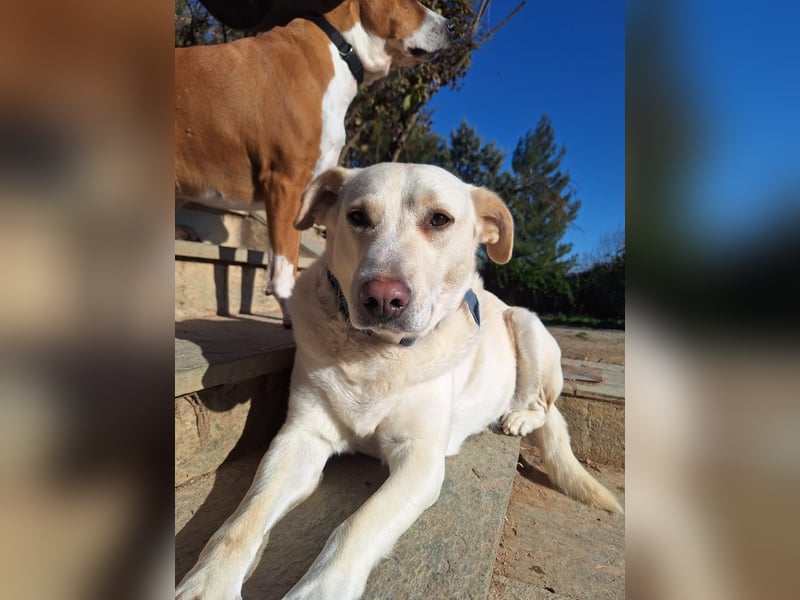 Nea - süße Einzelprinzessin sucht erfahrene Menschen