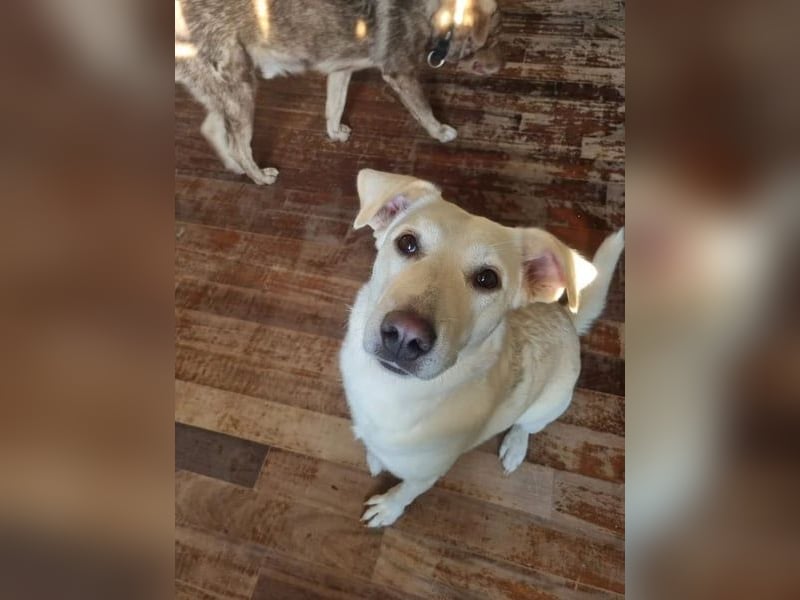 Nea - süße Einzelprinzessin sucht erfahrene Menschen