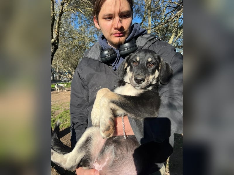 Zuckersüße Poppy sucht liebevolles Zuhause