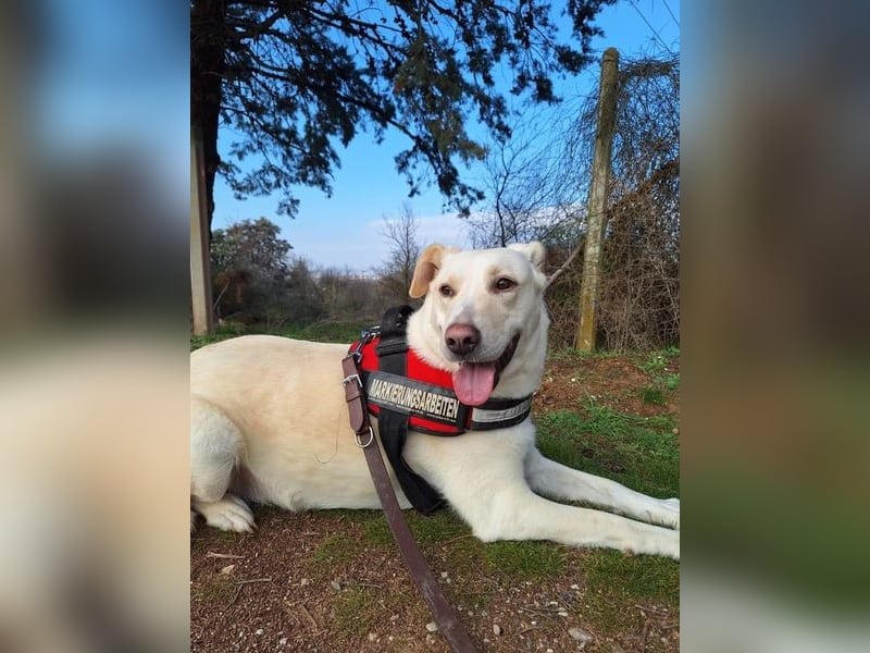 Nea - süße Einzelprinzessin sucht erfahrene Menschen