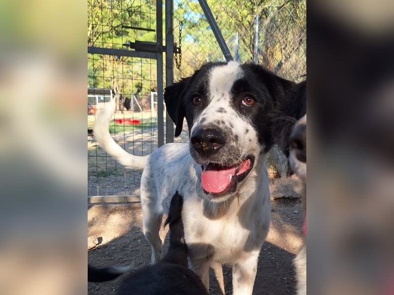 Wunderschöner, sensibler Apollo möchte endlich ankomen