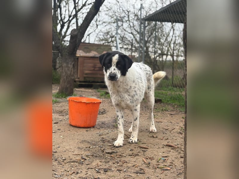 Wunderschöner, sensibler Apollo möchte endlich ankomen