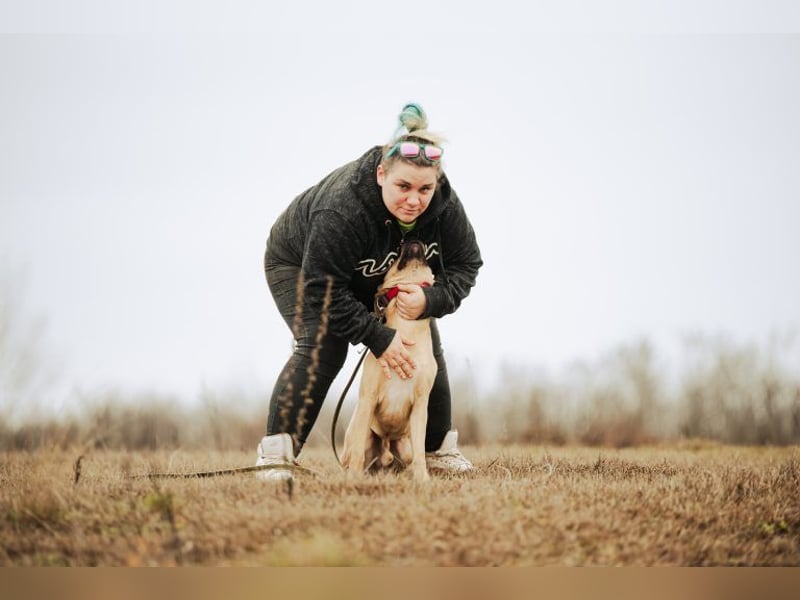 Billy, fröhlicher Wirbelwind, ca. 1 Jahr, ca. 55cm, ca. 23kg