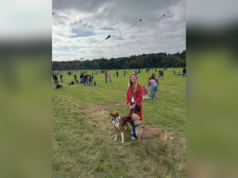 Mister Berci, offener Knuddelbär, ca. 1 Jahr, ca. 58 cm, ca. 23 kg *in 81679 München*