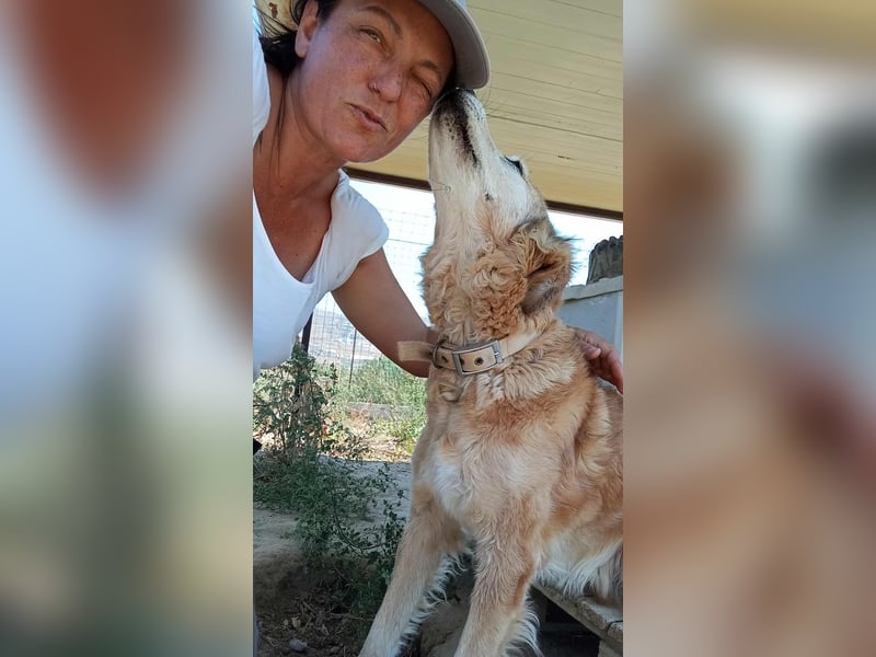 Laourita, tapfere Hundeomi, ca. 11 Jahre, ca. 56 cm, ca. 22 kg