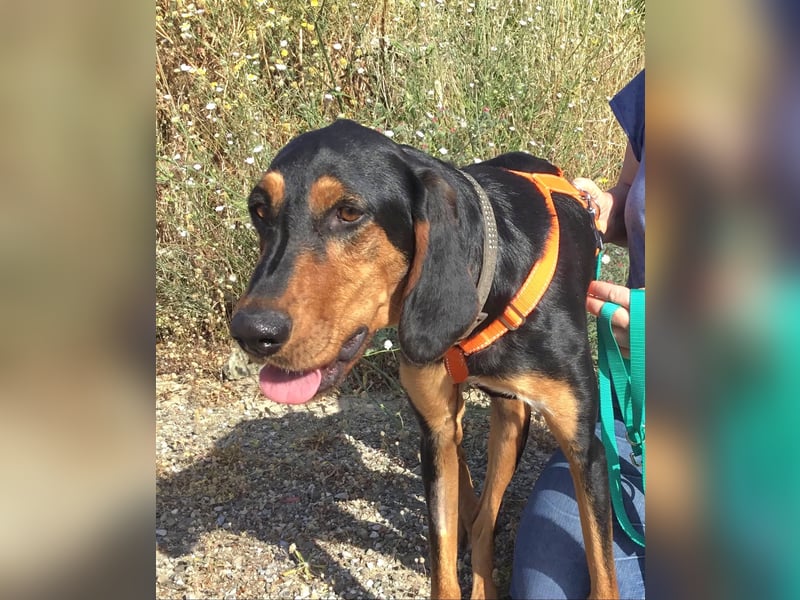 Cleo wünscht sich eine Familie