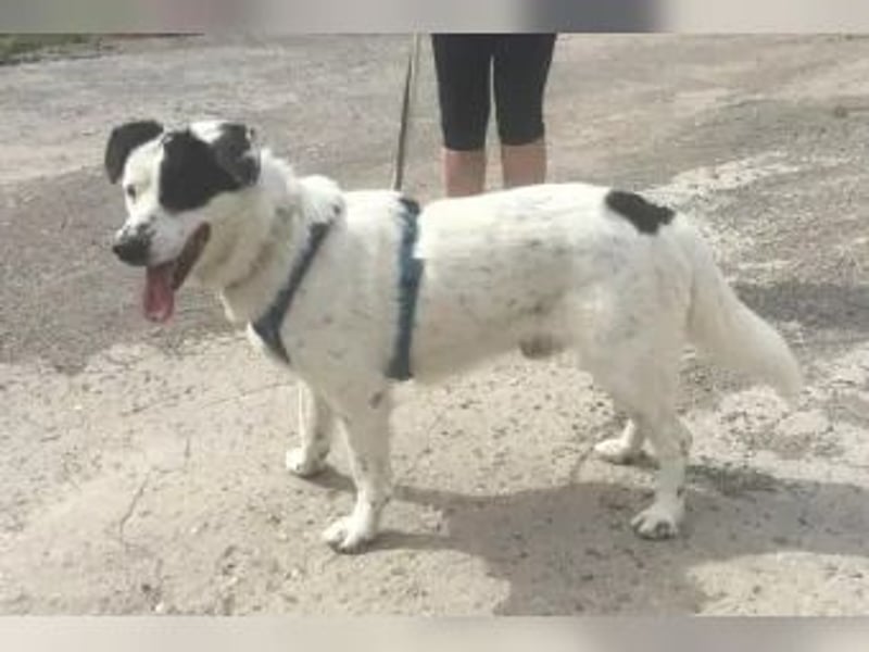 Rocky sehnt sich nach Liebe und Geborgenheit