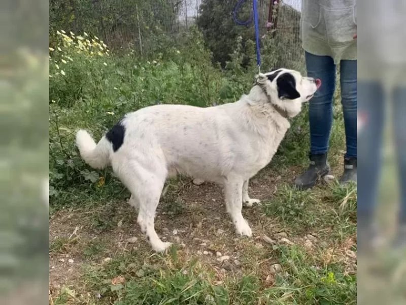 Rocky sehnt sich nach Liebe und Geborgenheit
