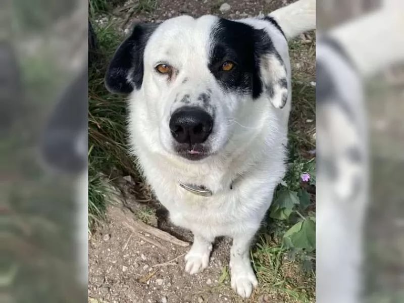 Rocky sehnt sich nach Liebe und Geborgenheit