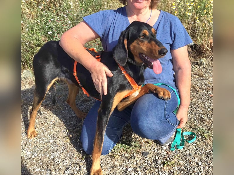 Cleo wünscht sich eine Familie