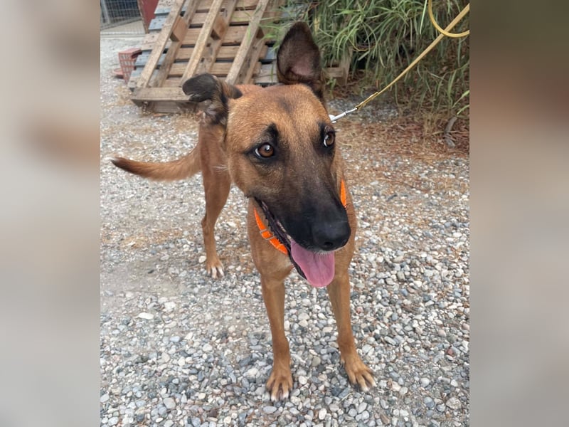 Sadie sehnt sich nach Liebe und Geborgenheit