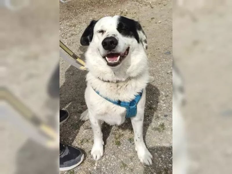 Rocky sehnt sich nach Liebe und Geborgenheit
