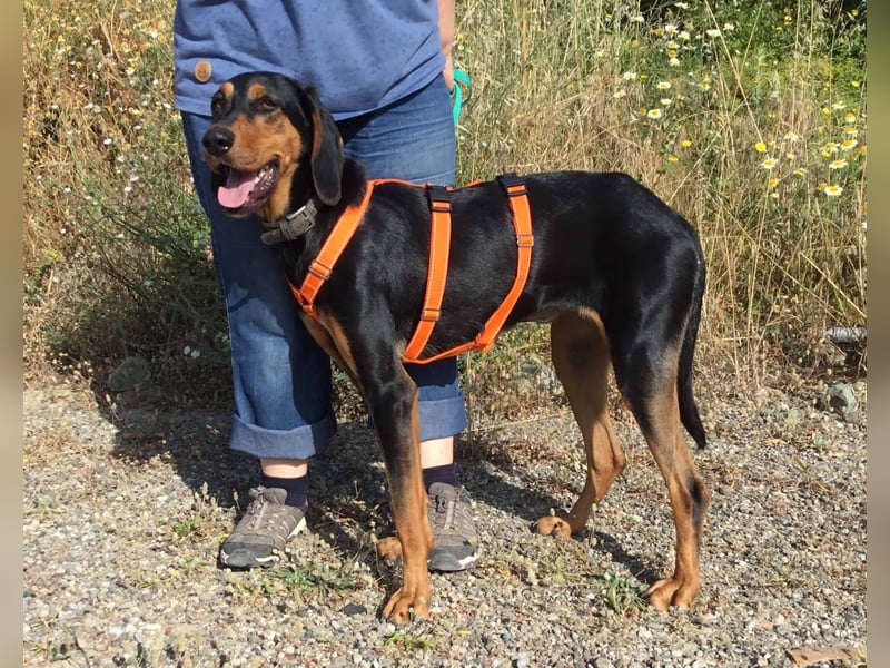 Cleo wünscht sich eine Familie