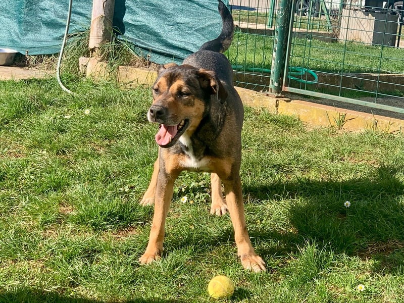 Jerome ( * 01.2019 ) sucht seine Menschen