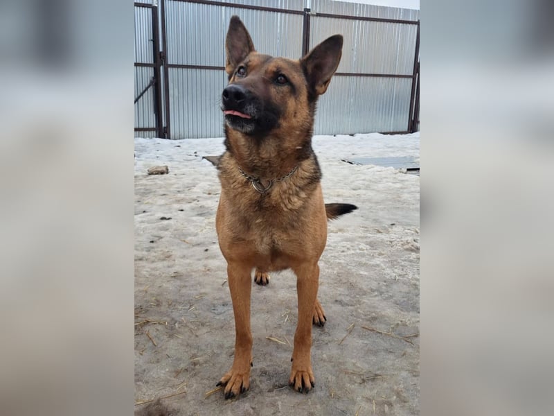 Yara ( * 05/ 2018 ) sucht ihre Familie