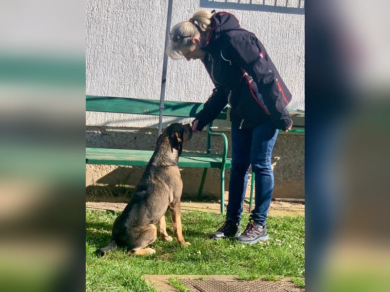 Jerome ( * 01.2019 ) sucht seine Menschen