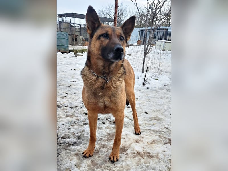 Yara ( * 05/ 2018 ) sucht ihre Familie