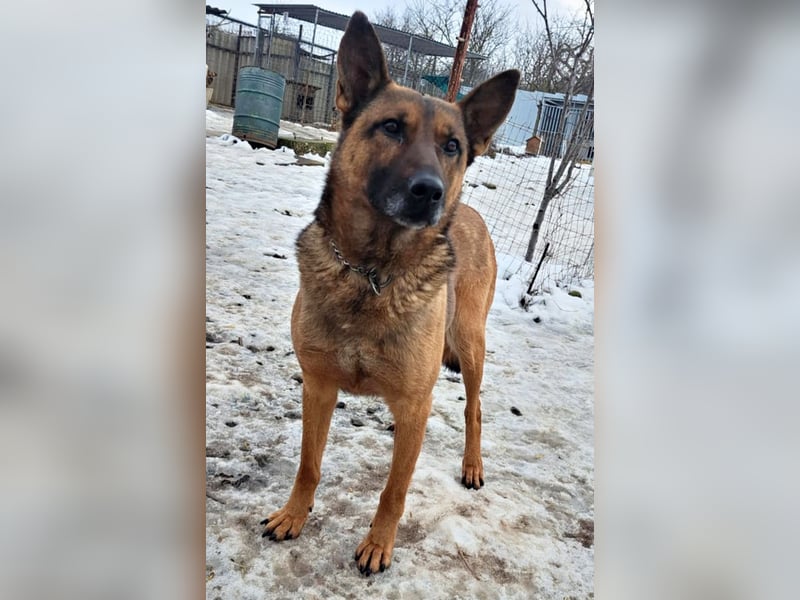 Yara ( * 05/ 2018 ) sucht ihre Familie