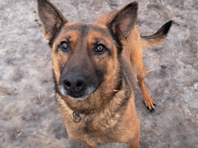 Yara ( * 05/ 2018 ) sucht ihre Familie