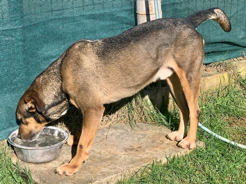 Jerome ( * 01.2019 ) sucht seine Menschen