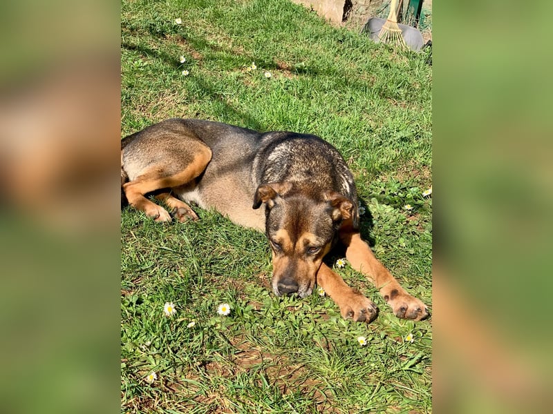 Jerome ( * 01.2019 ) sucht seine Menschen