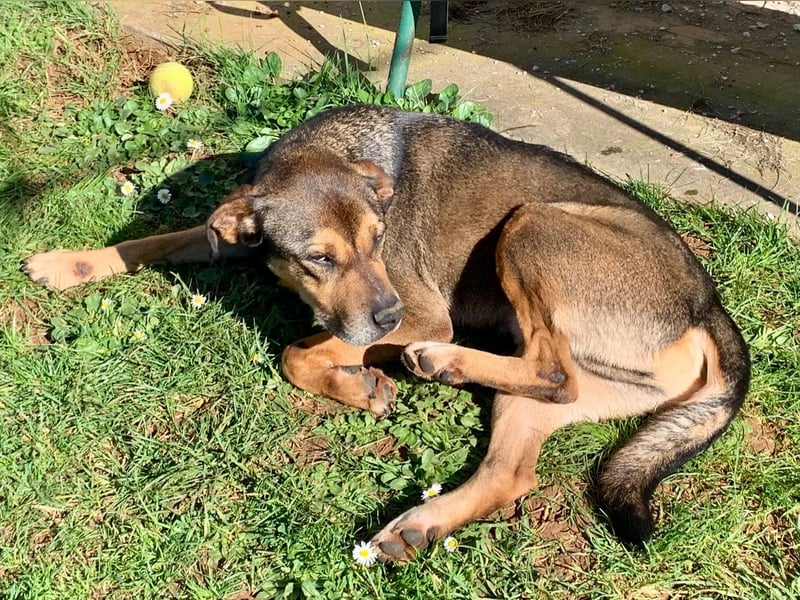 Jerome ( * 01.2019 ) sucht seine Menschen