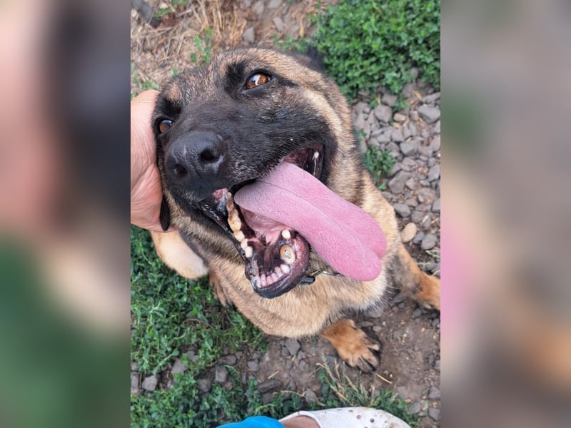 Odin sucht die Nadel im Heuhaufen