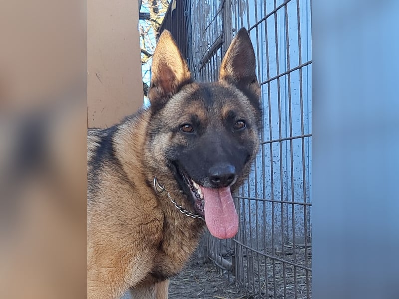 Odin sucht die Nadel im Heuhaufen