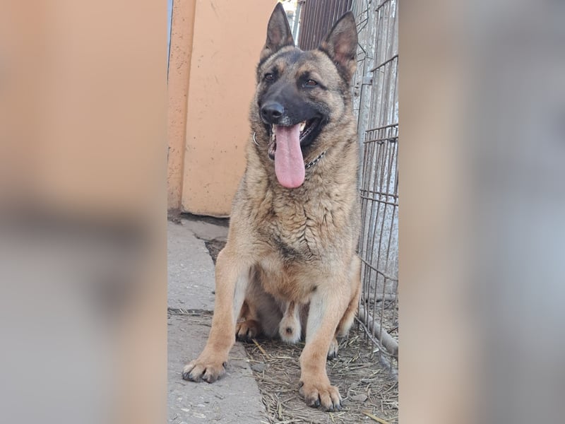 Odin sucht die Nadel im Heuhaufen