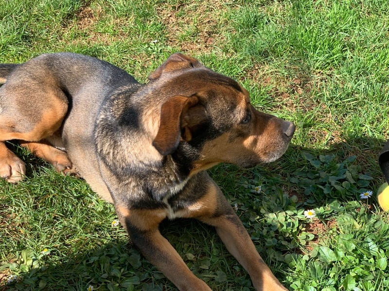 Jerome ( * 01.2019 ) sucht seine Menschen