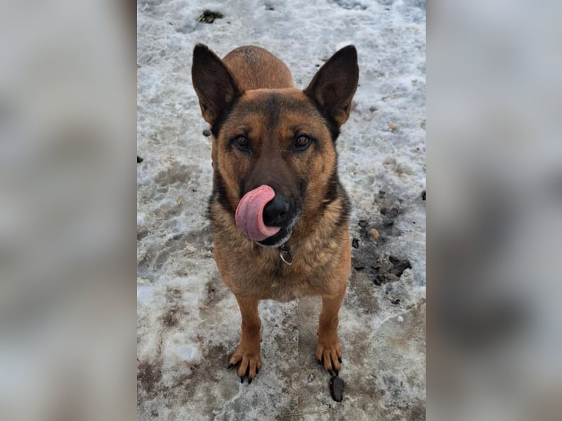 Yara ( * 05/ 2018 ) sucht ihre Familie