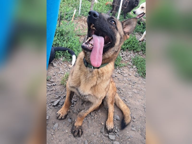 Odin sucht die Nadel im Heuhaufen