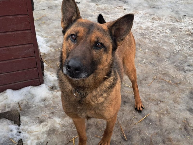 Yara ( * 05/ 2018 ) sucht ihre Familie