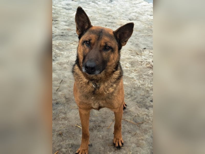 Yara ( * 05/ 2018 ) sucht ihre Familie