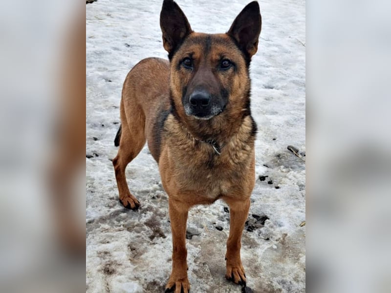 Yara ( * 05/ 2018 ) sucht ihre Familie